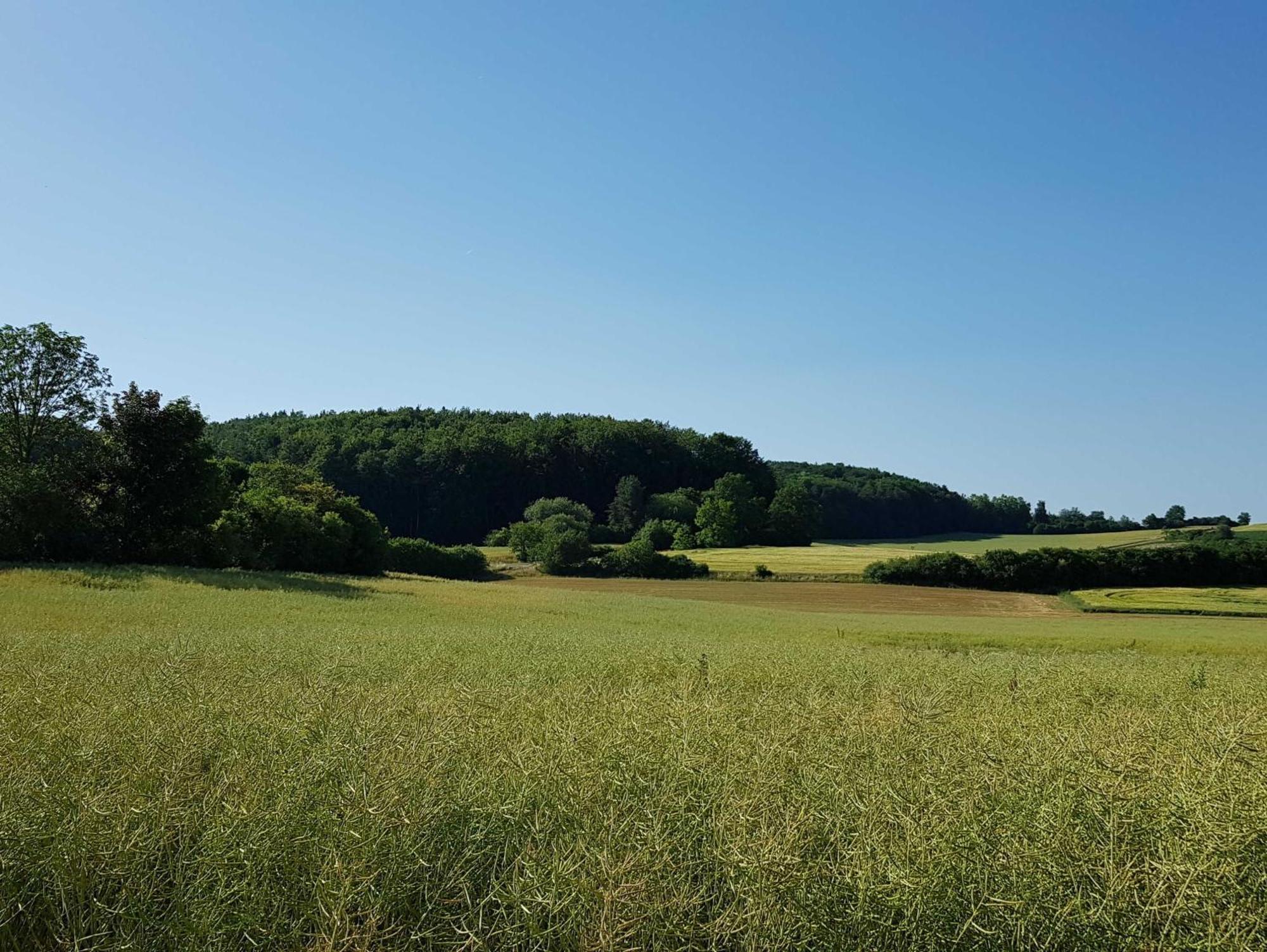 Ferienhaus Forstblick Betzenstein Buitenkant foto