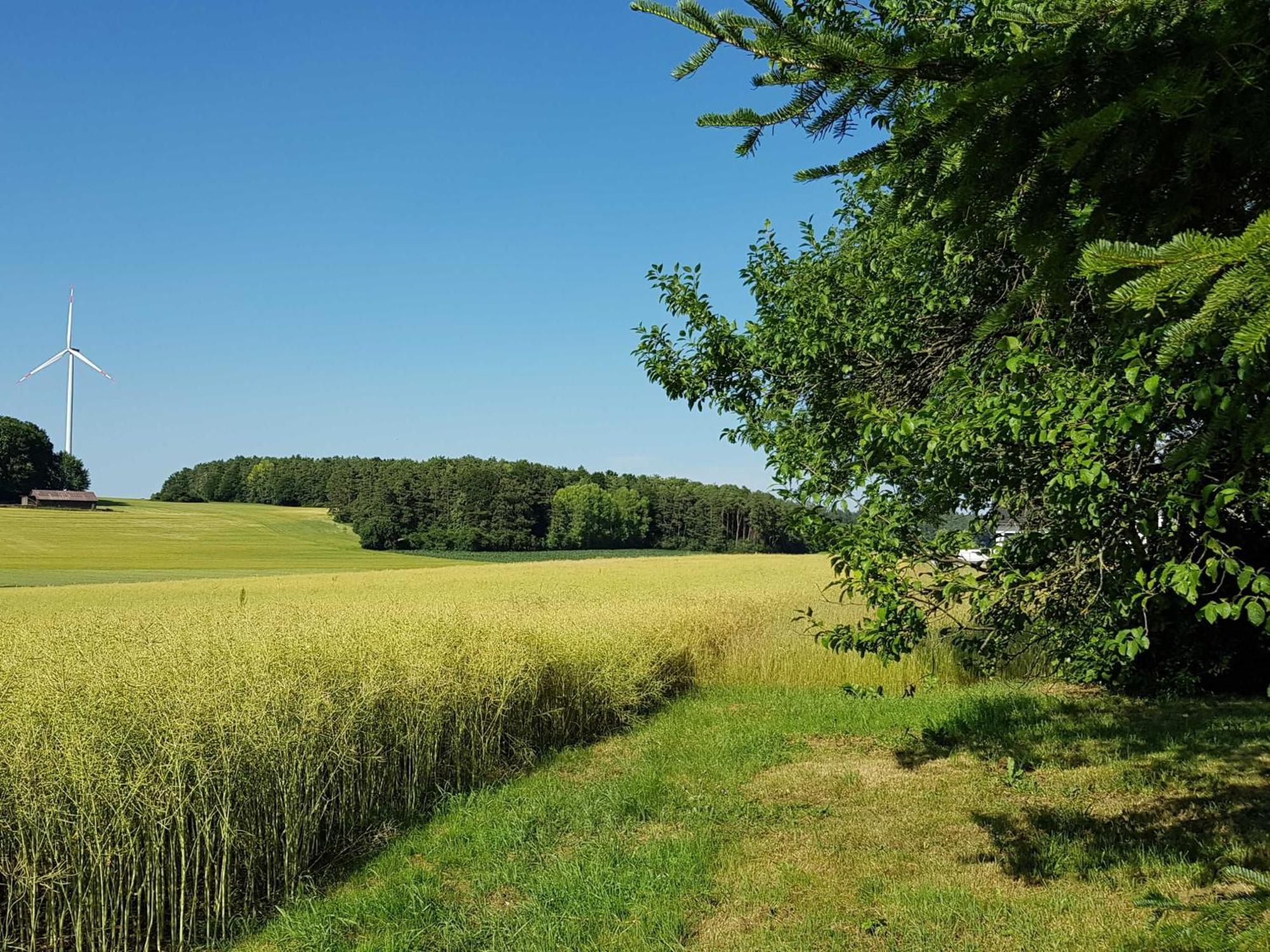Ferienhaus Forstblick Betzenstein Buitenkant foto